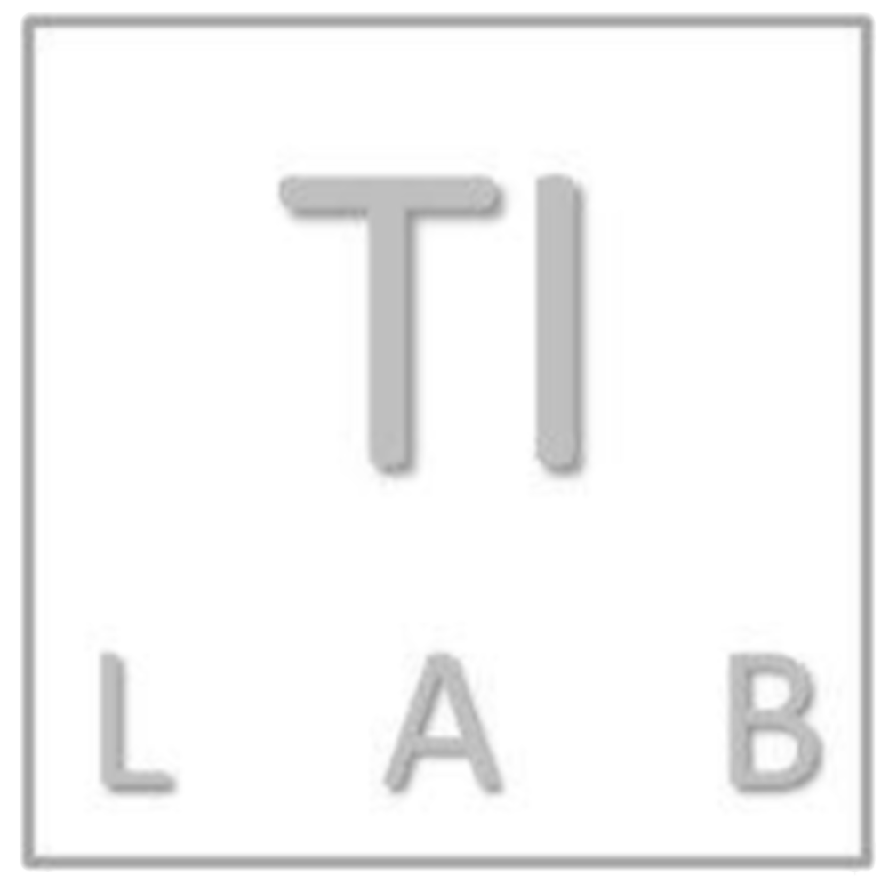 TI LAB SA